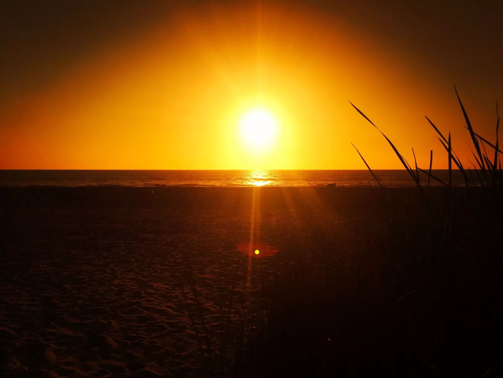 Villa Finca CB AP2 - Buiten