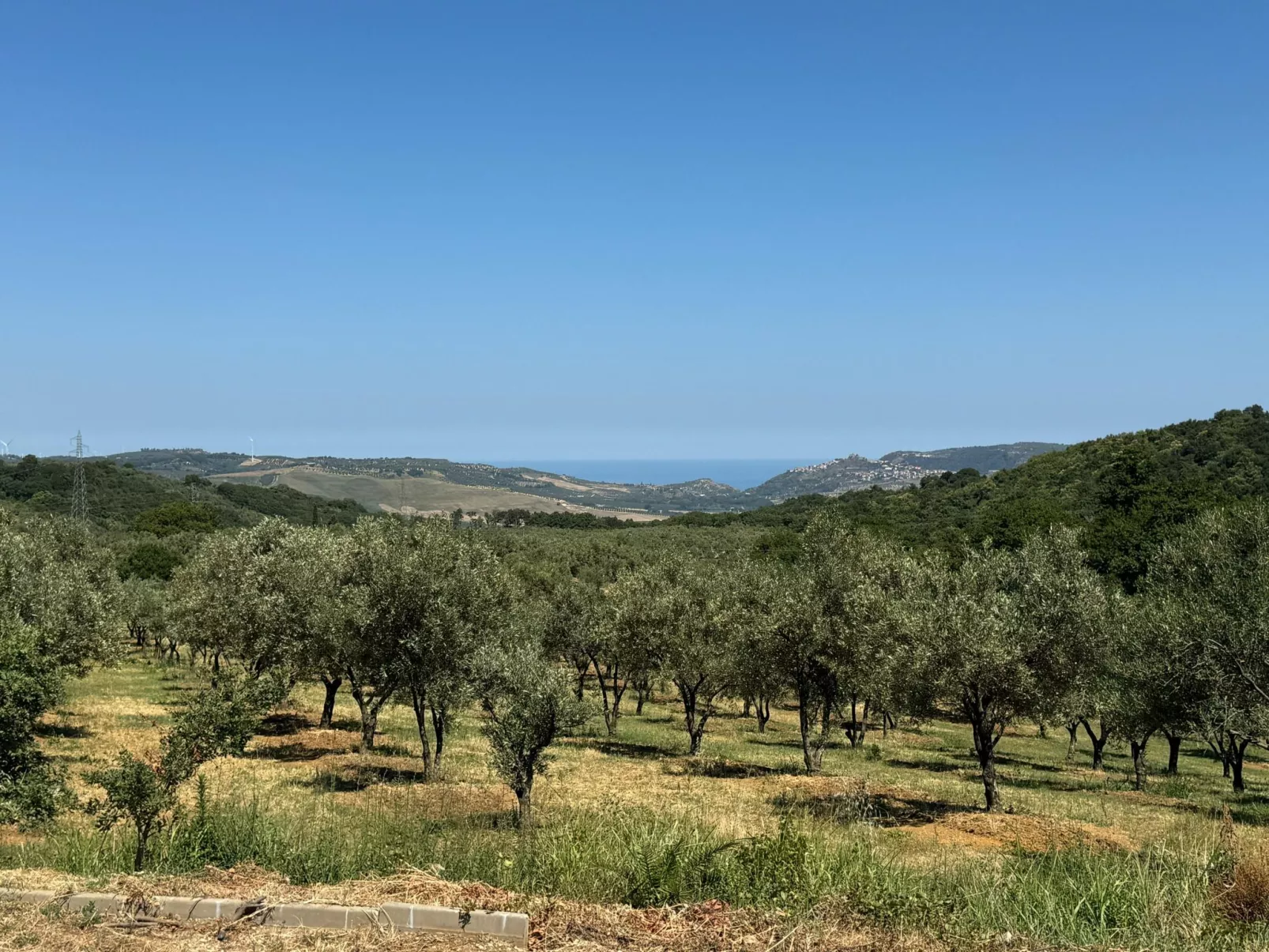 Tolles Reihenhaus im Olivenhain - Buiten
