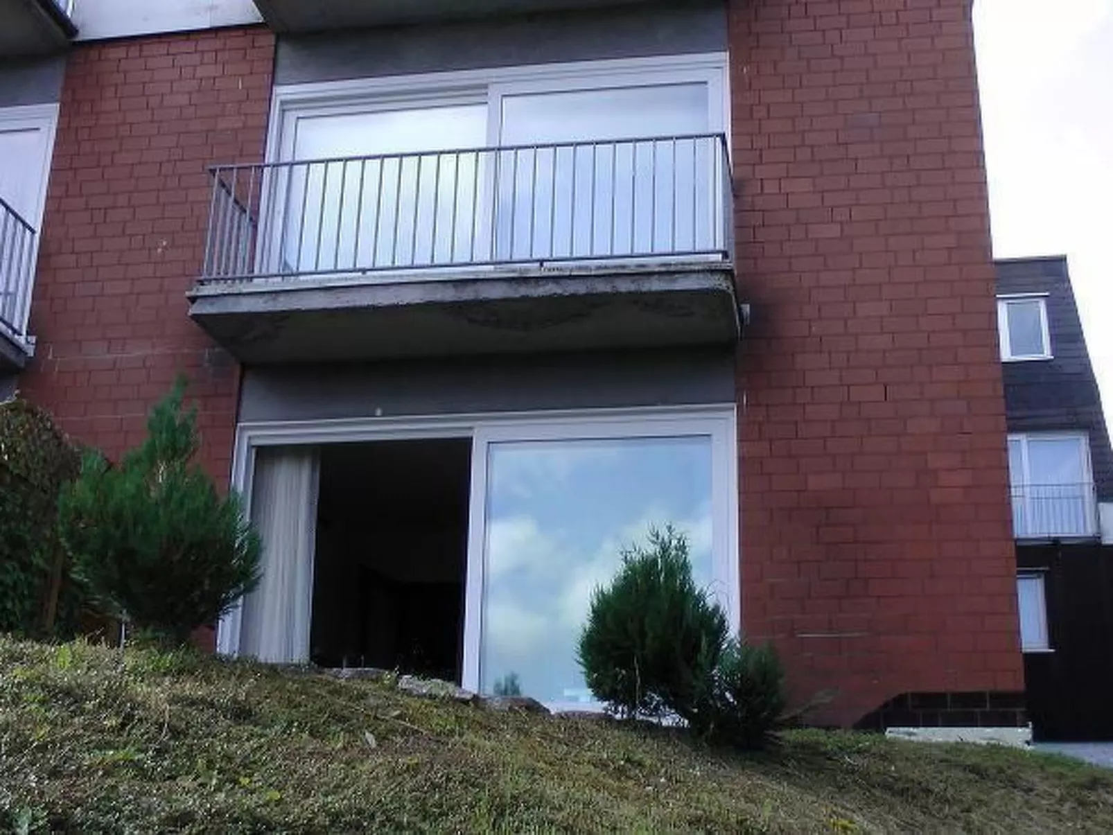 Tanne - Image-tags.info