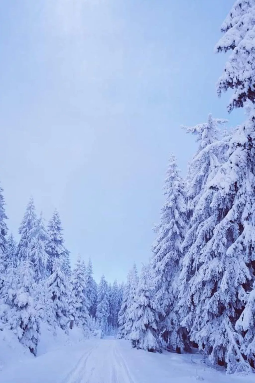 Gästezimmer mit Blick auf die Berge - Buiten
