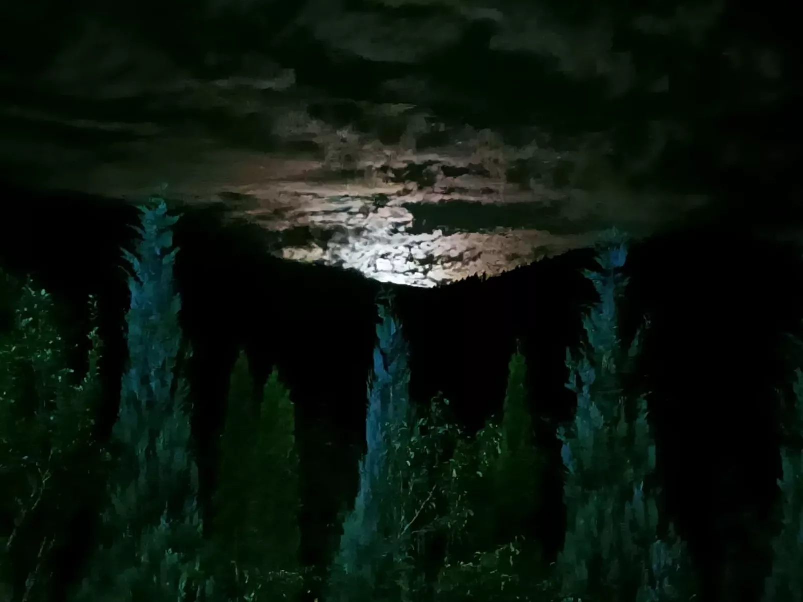 Vila Roberta Breaza Brasov - Buiten