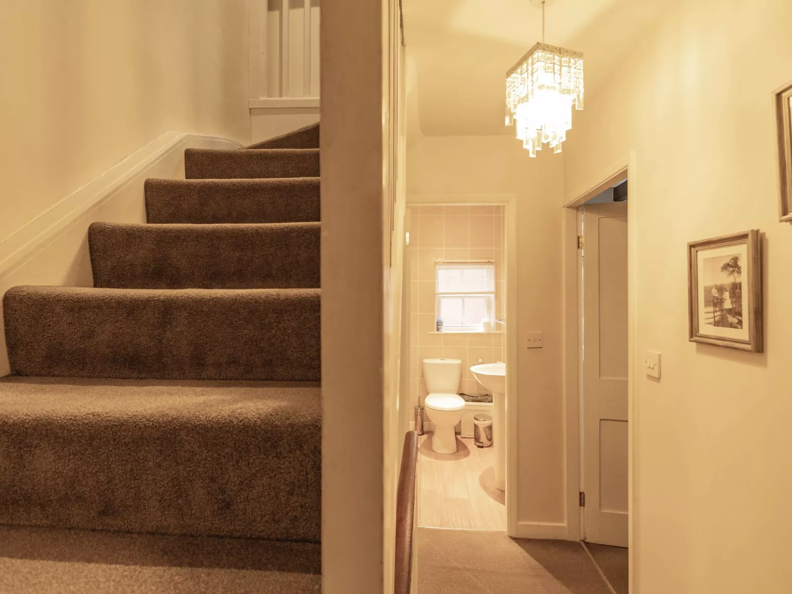 Robins Nest - Binnen