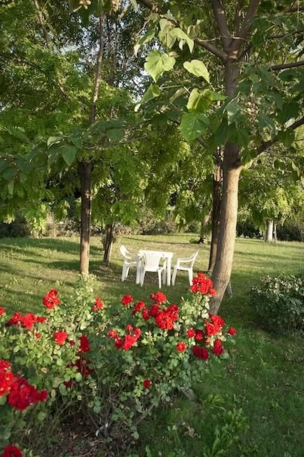 Wohnung "Veronica" auf einem Bauernhof - Buiten