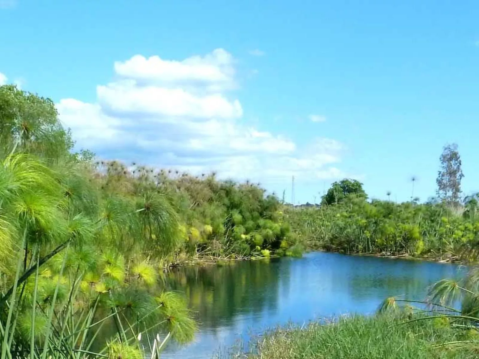 Villa dei Papiri - Exklusives Zimmer mit möbliertem Garten - Buiten