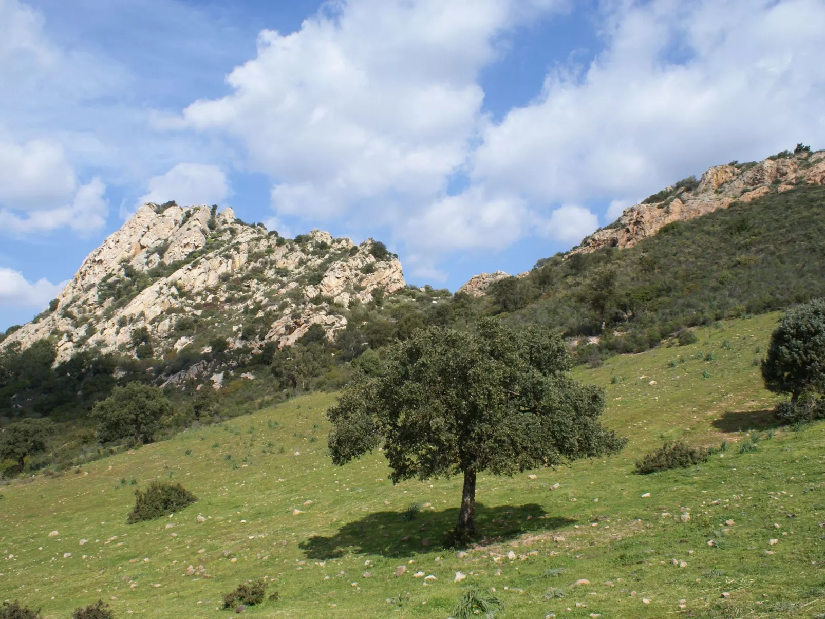 Anwesen "Lilla Suite" mit Terrasse - Image-tags.info