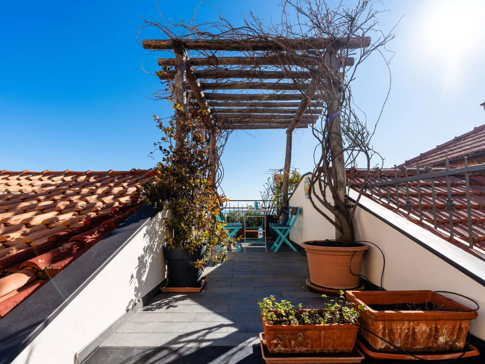 Terrazza con glicine - Buiten