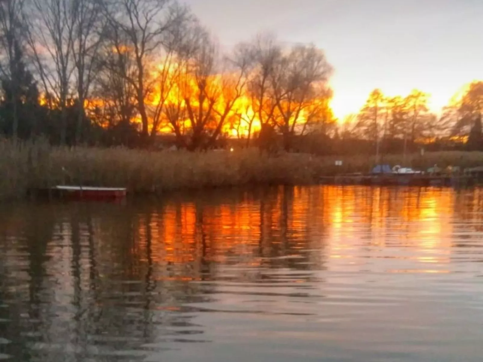 Ferienbungalow auf Gartengrundstück - Buiten