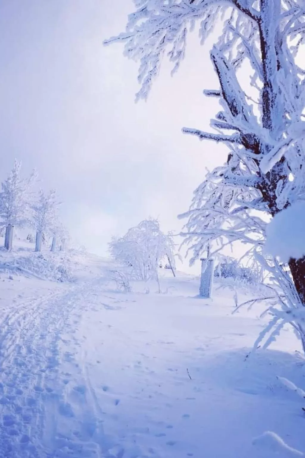 Gästezimmer mit Blick auf die Berge - Buiten