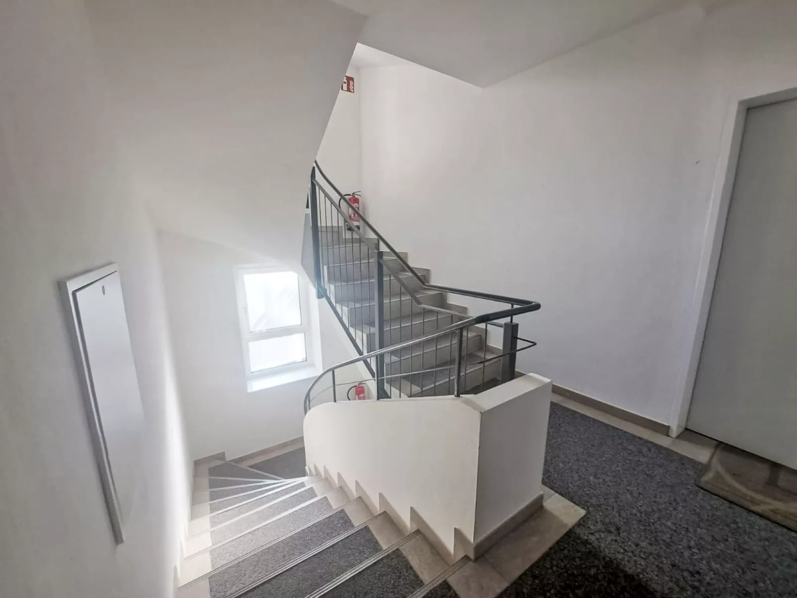 Dr. Adler Top 2 - Binnen