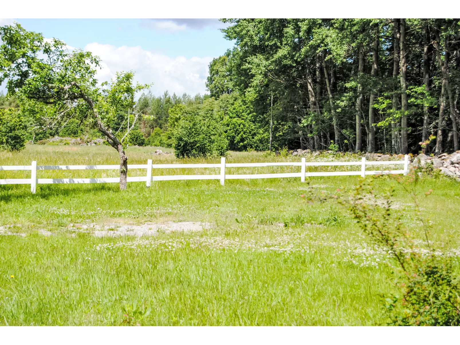 Torpet i Småland - Binnen