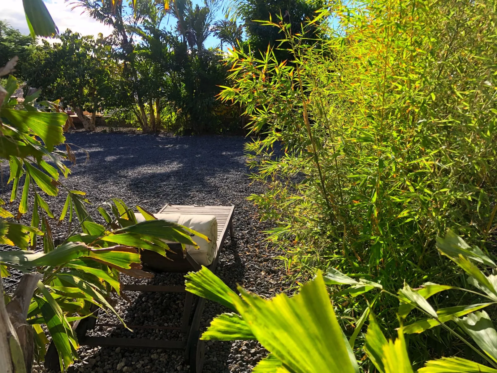 Bioklimatisches Haus auf Teneriffa - Natur - Entspannung - Buiten