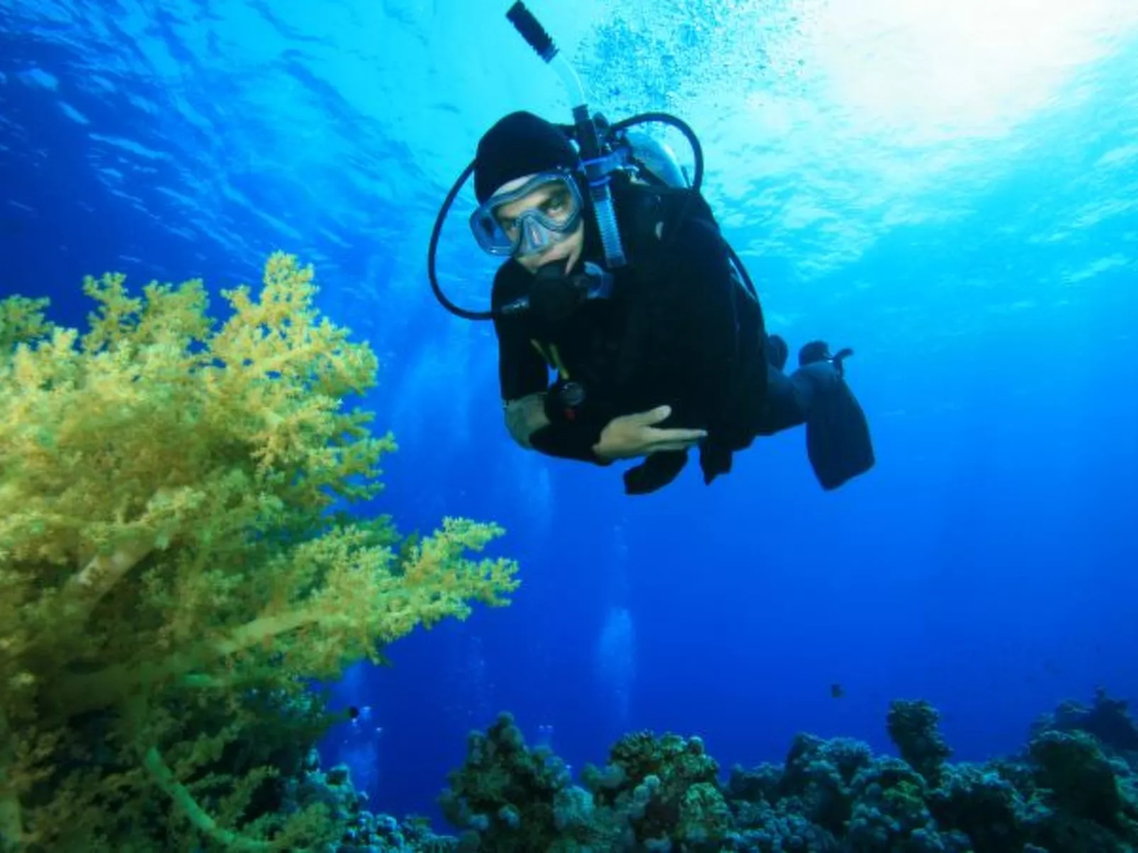 Apartment Buena Vista - Image-tags.info