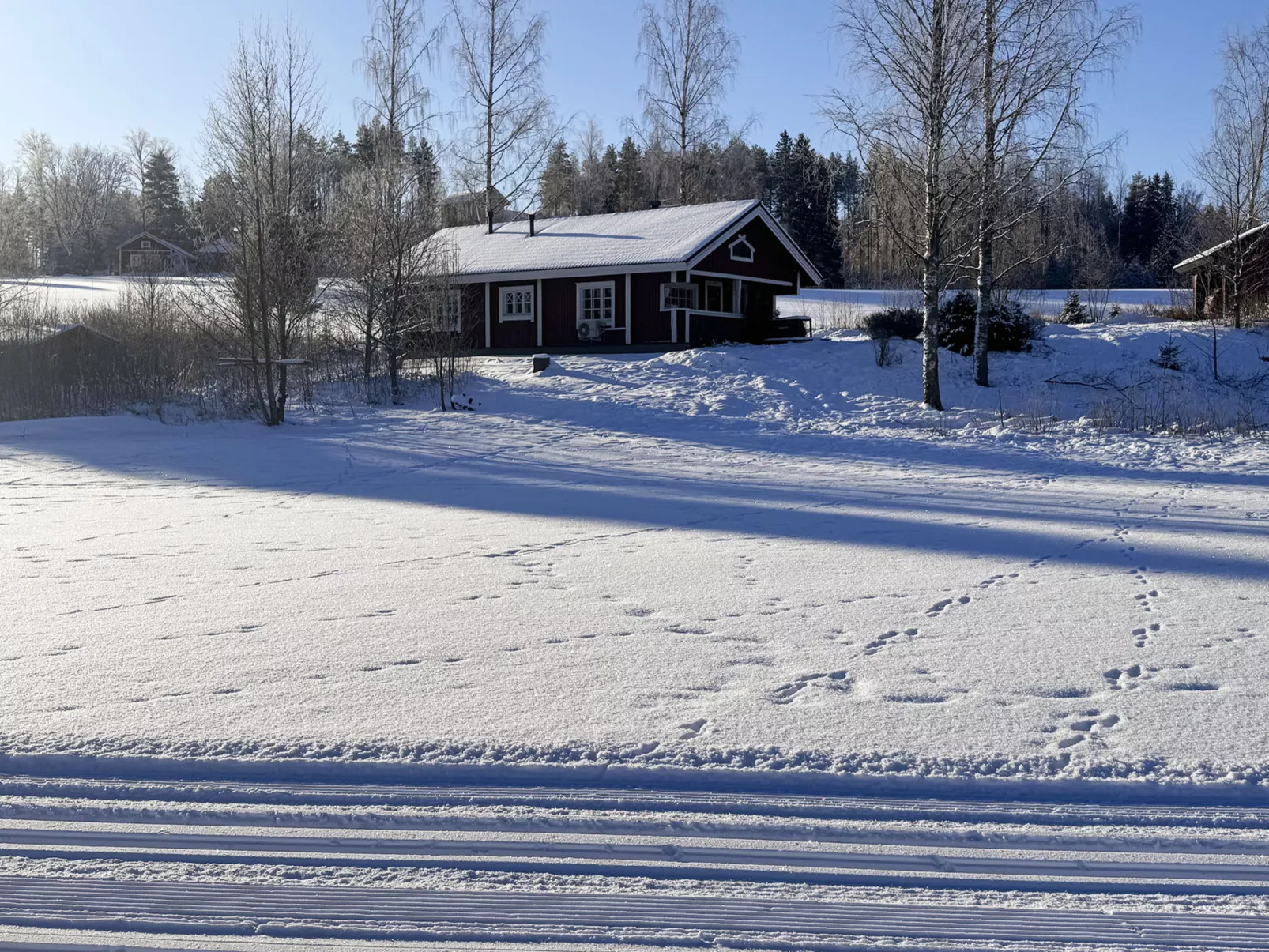 Peltosirkku - Binnen