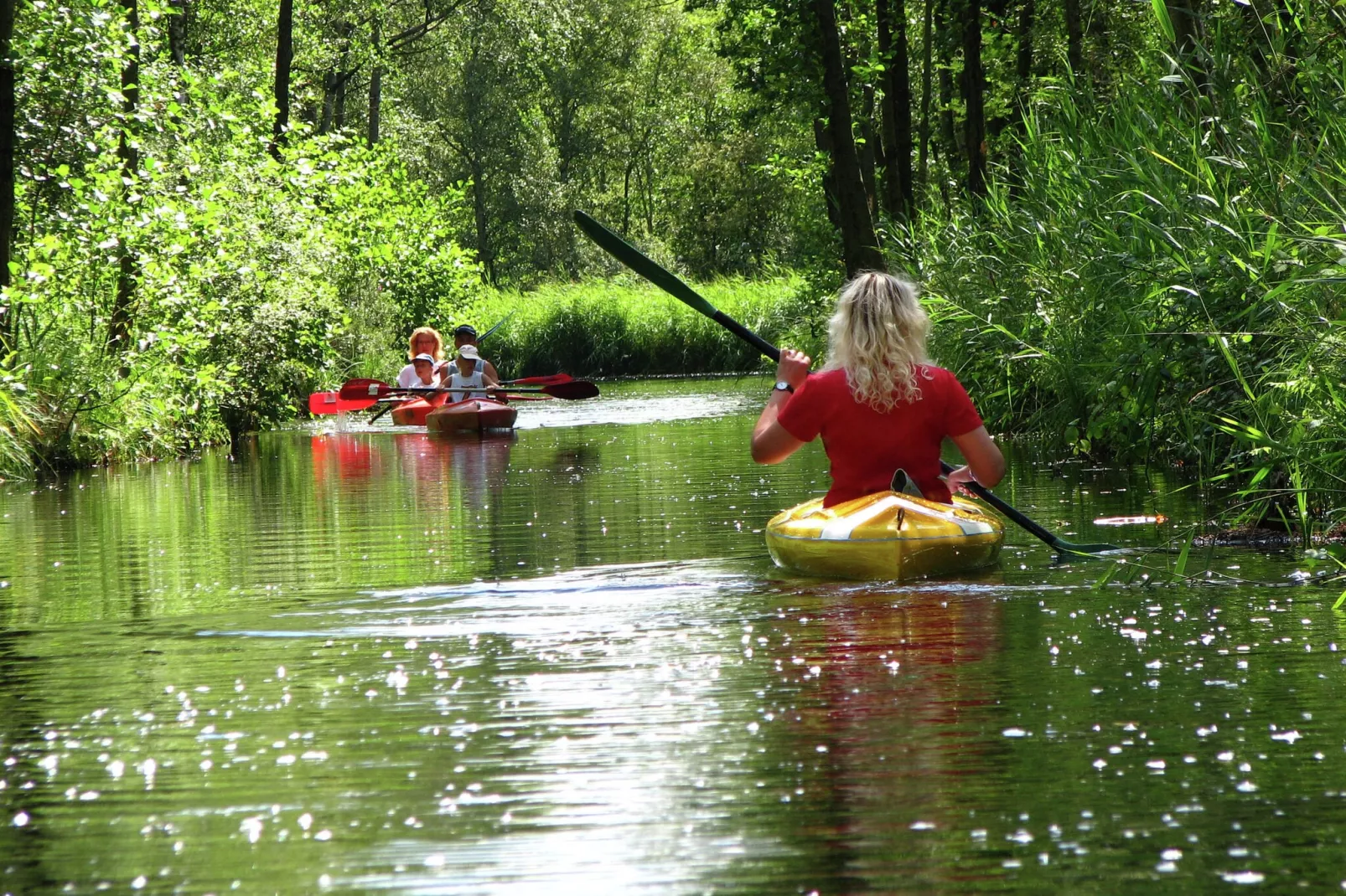 Residence de Eese 33-Gebieden zomer 20km