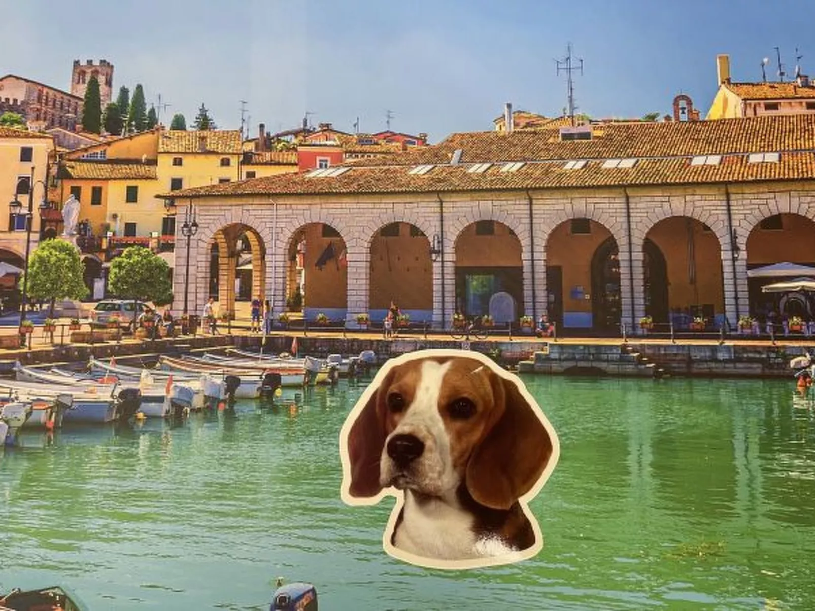 Desenzanoloft A Casa di Attila - Image-tags.info