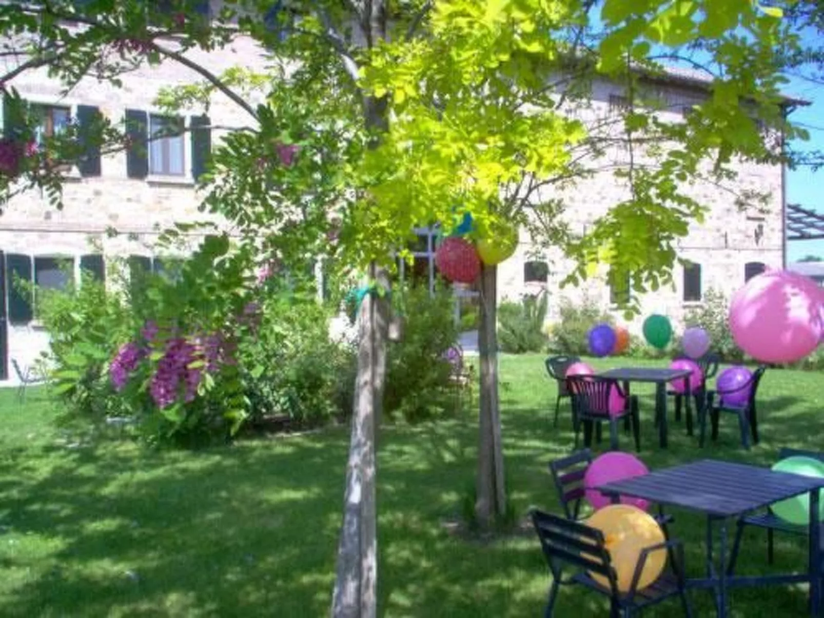 Wohnung "Veronica" auf einem Bauernhof - Buiten