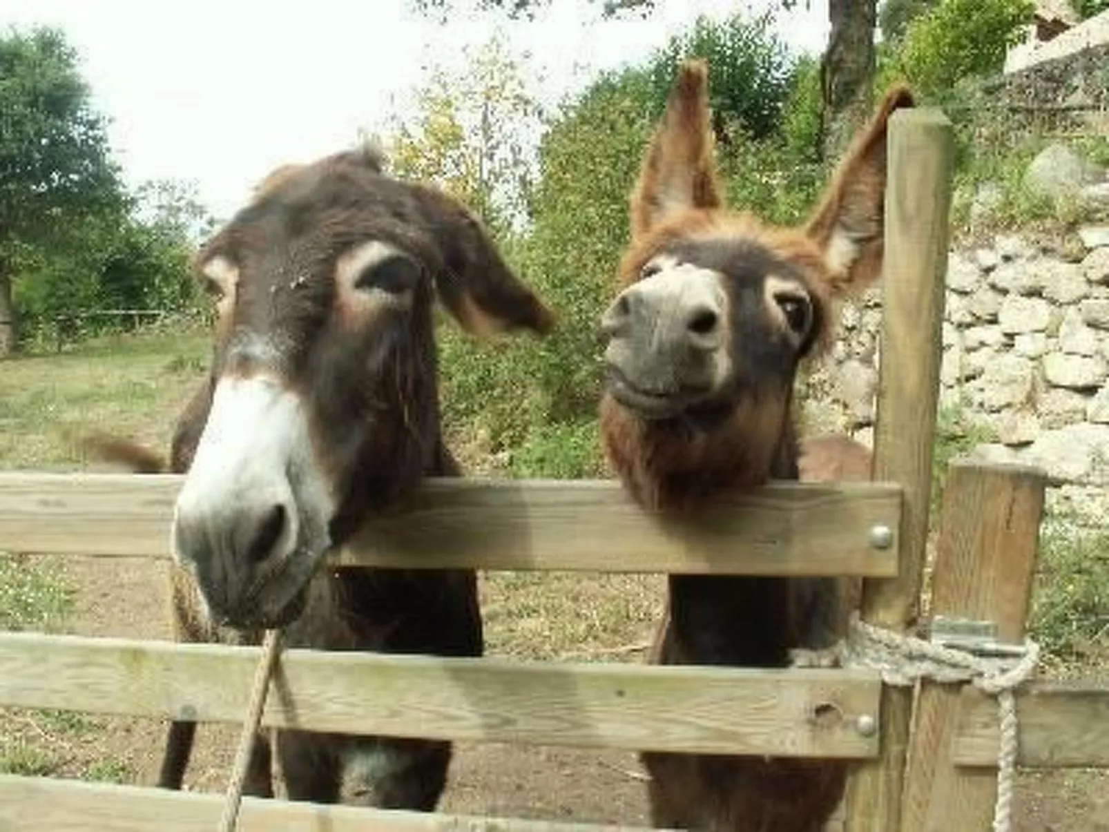 NATUR IN IHRER REINSTEN FORM - Image-tags.info