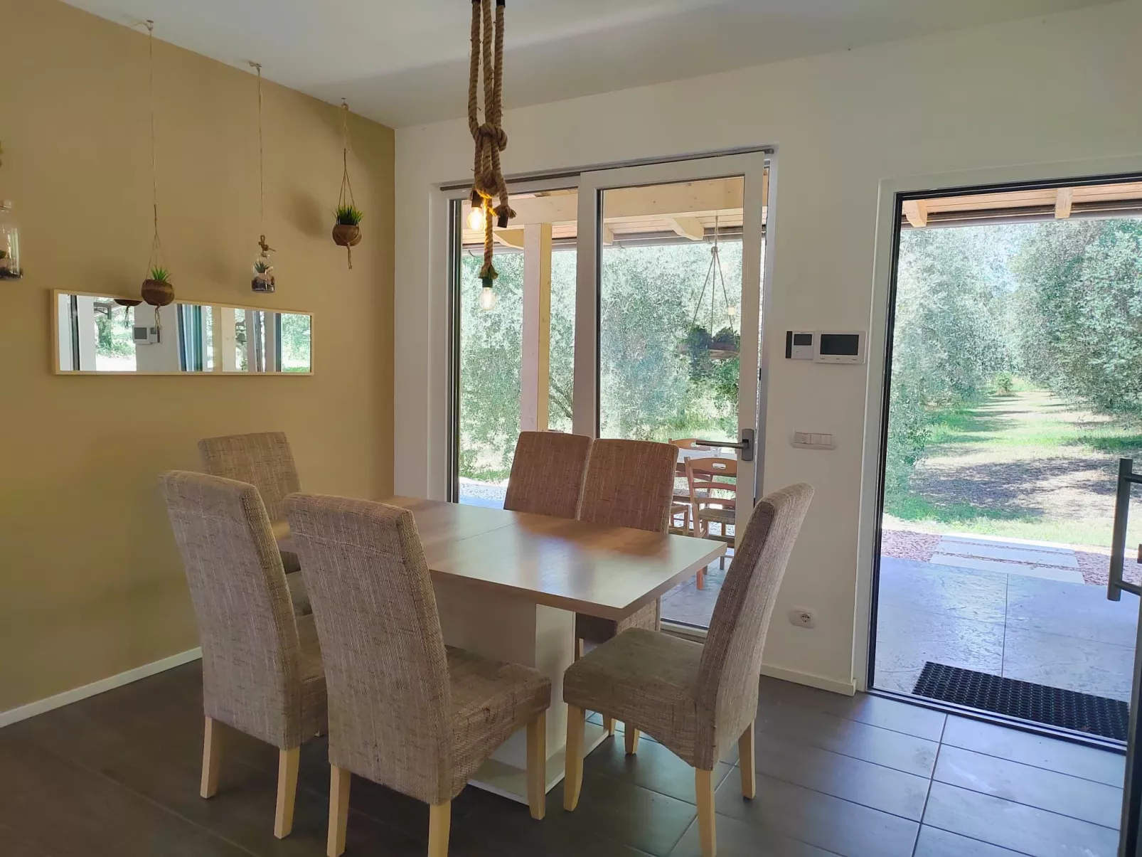 In einem spektakulären Olivenhain in einer ruhig - Image-tags.info