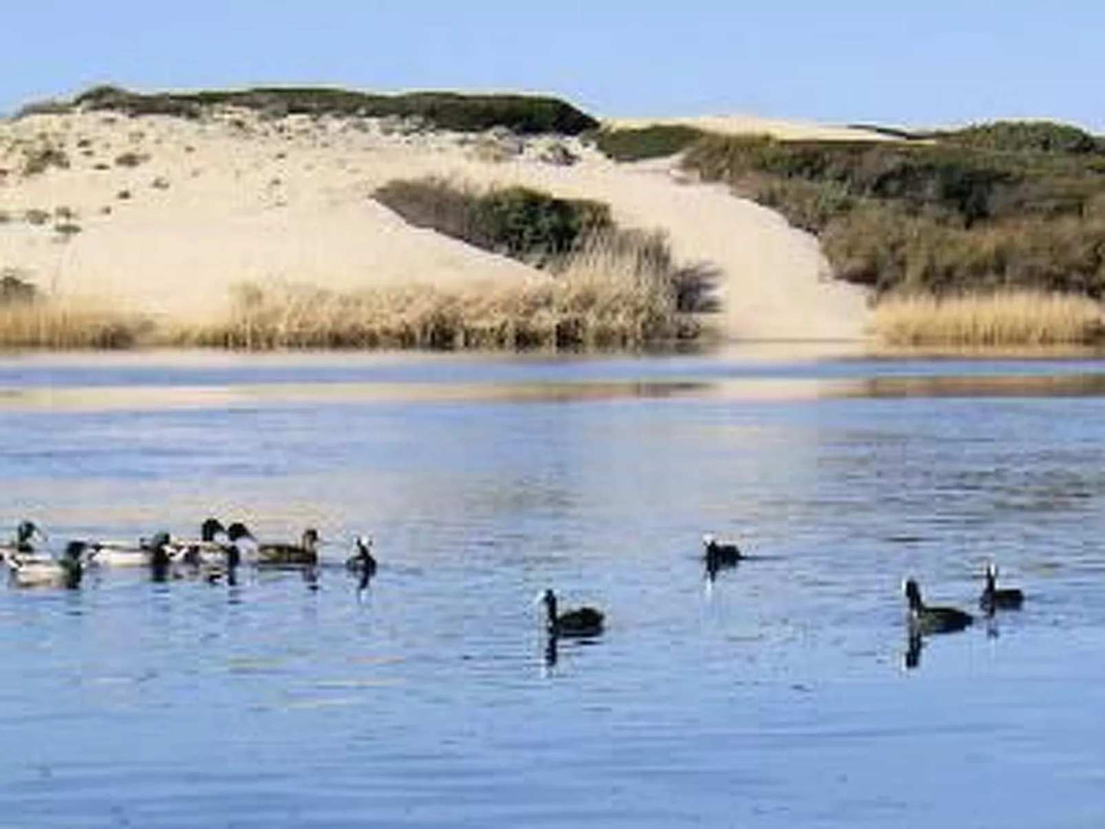 Sa Fiorida Alice II - Buiten