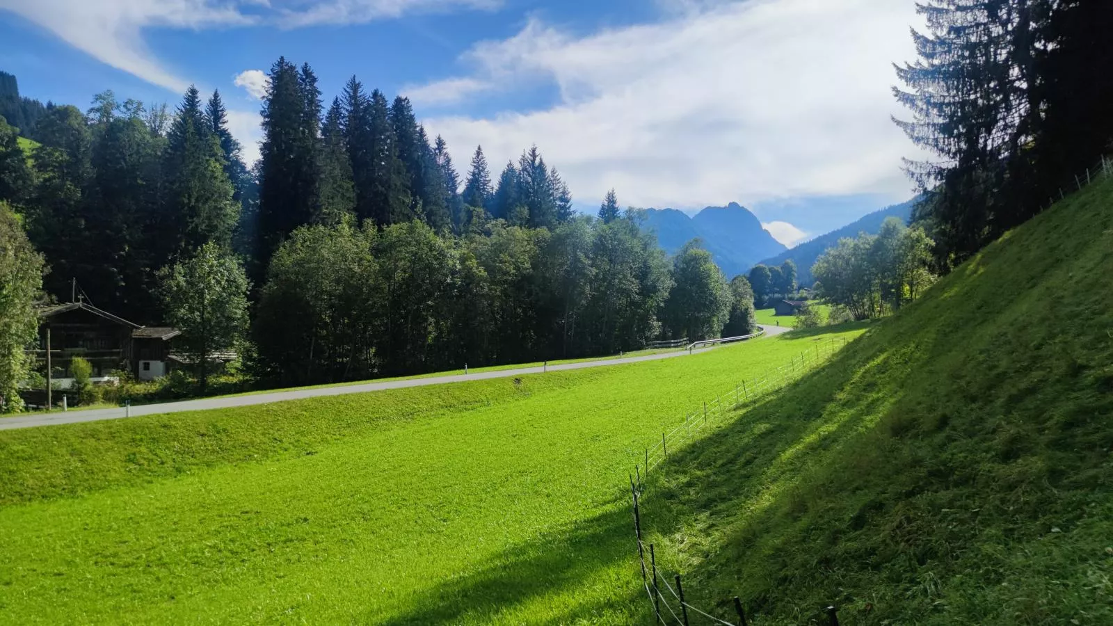 Blick auf den Rettenstein Top 1-Uitzicht zomer