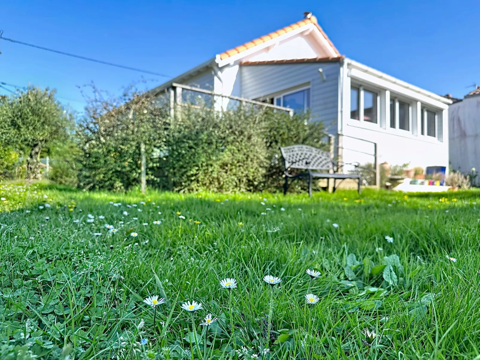 Les Rainettes - Buiten