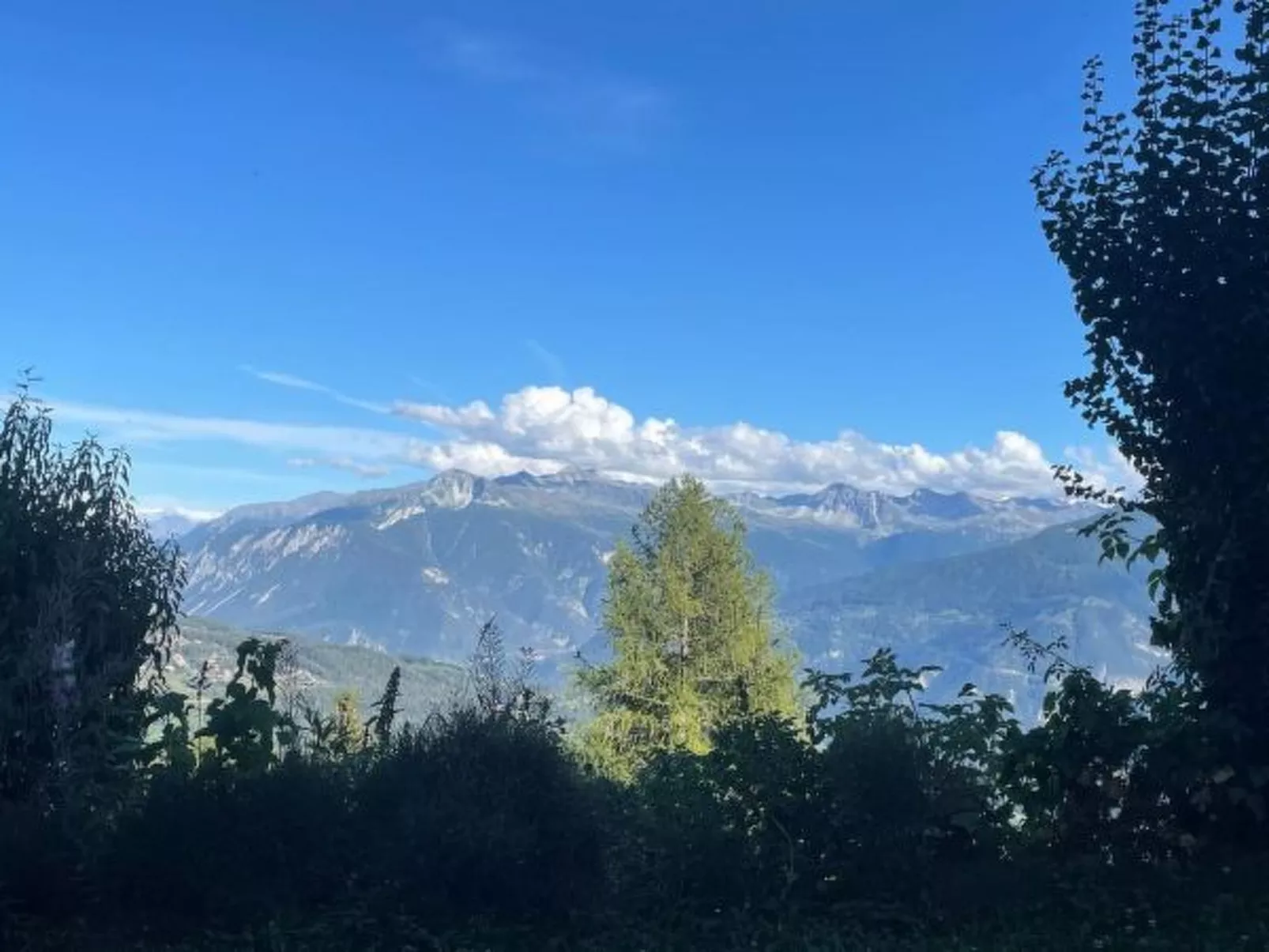 Tiny House facing the Alps - Ski in and out - Buiten