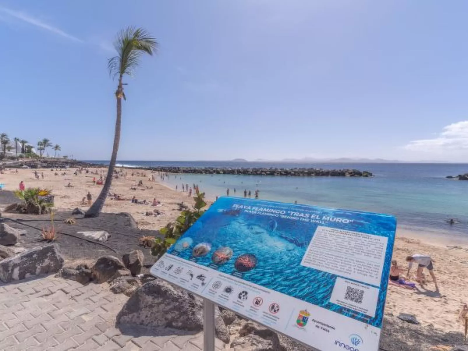 PLAYA FLAMINGO C - Image-tags.info