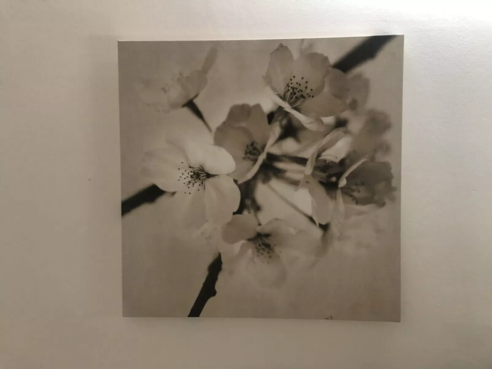 Casa Alessia - Binnen