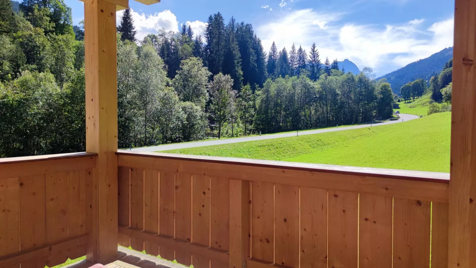 Blick auf den Rettenstein Top 2-Uitzicht zomer