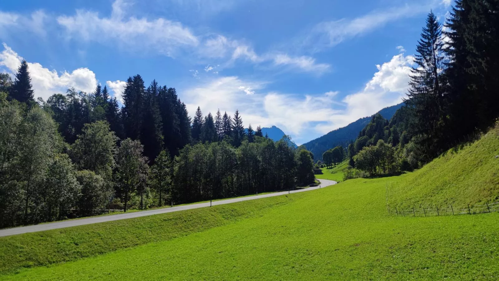 Blick auf den Rettenstein Top 2-Uitzicht zomer