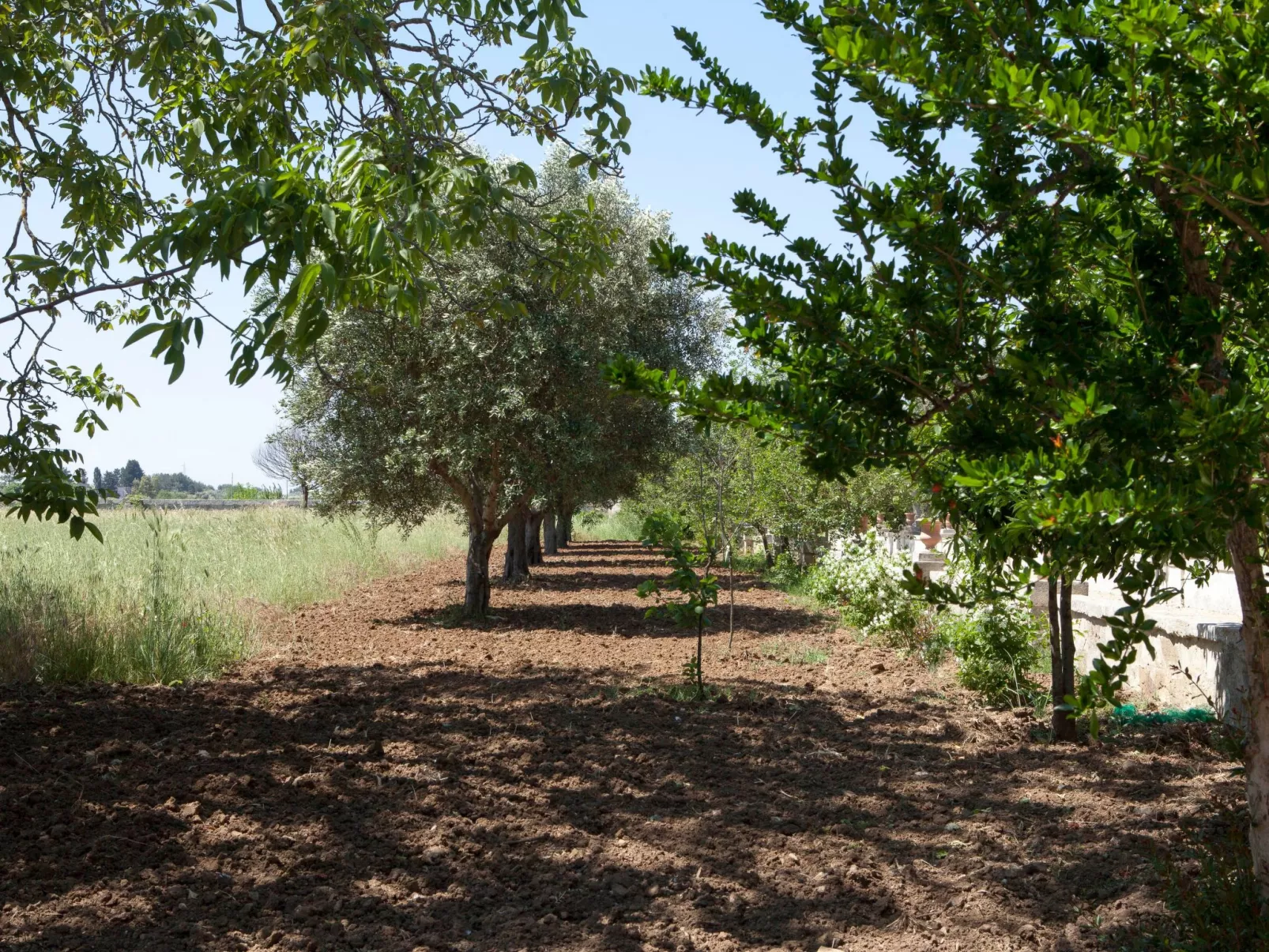 Bedbreakfast - Image-tags.info