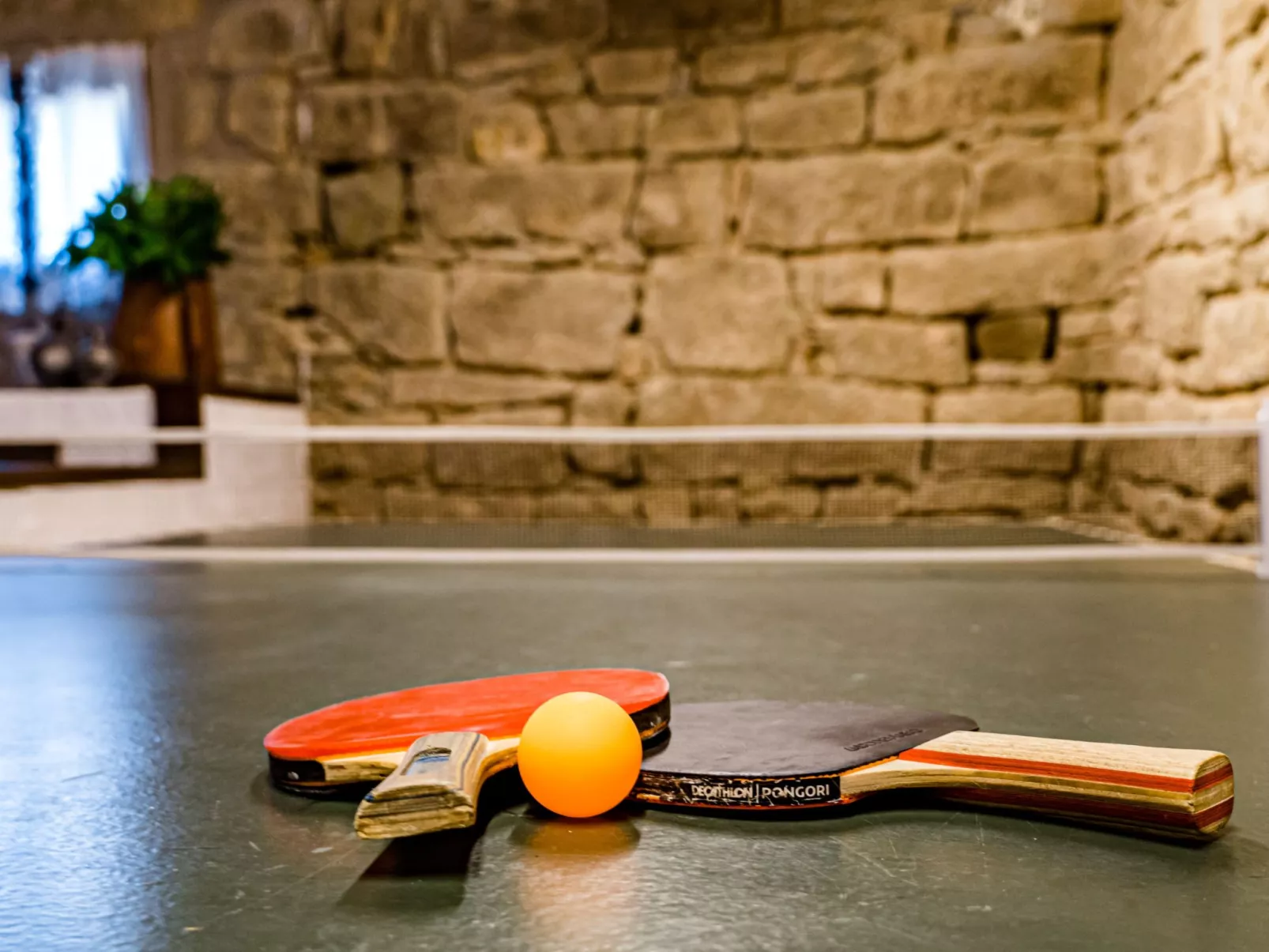 Ländliches Haus Cal Xamora - Binnen