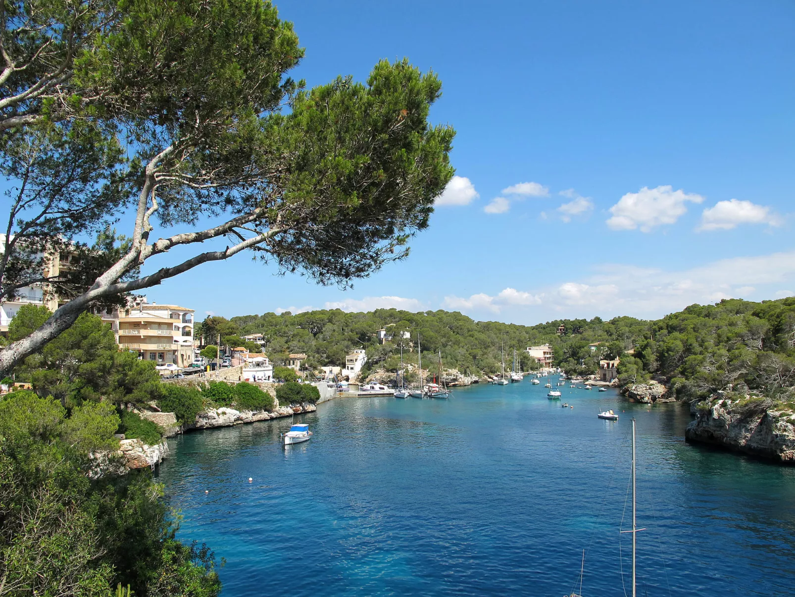 Apartment Buena Vista - Omgeving