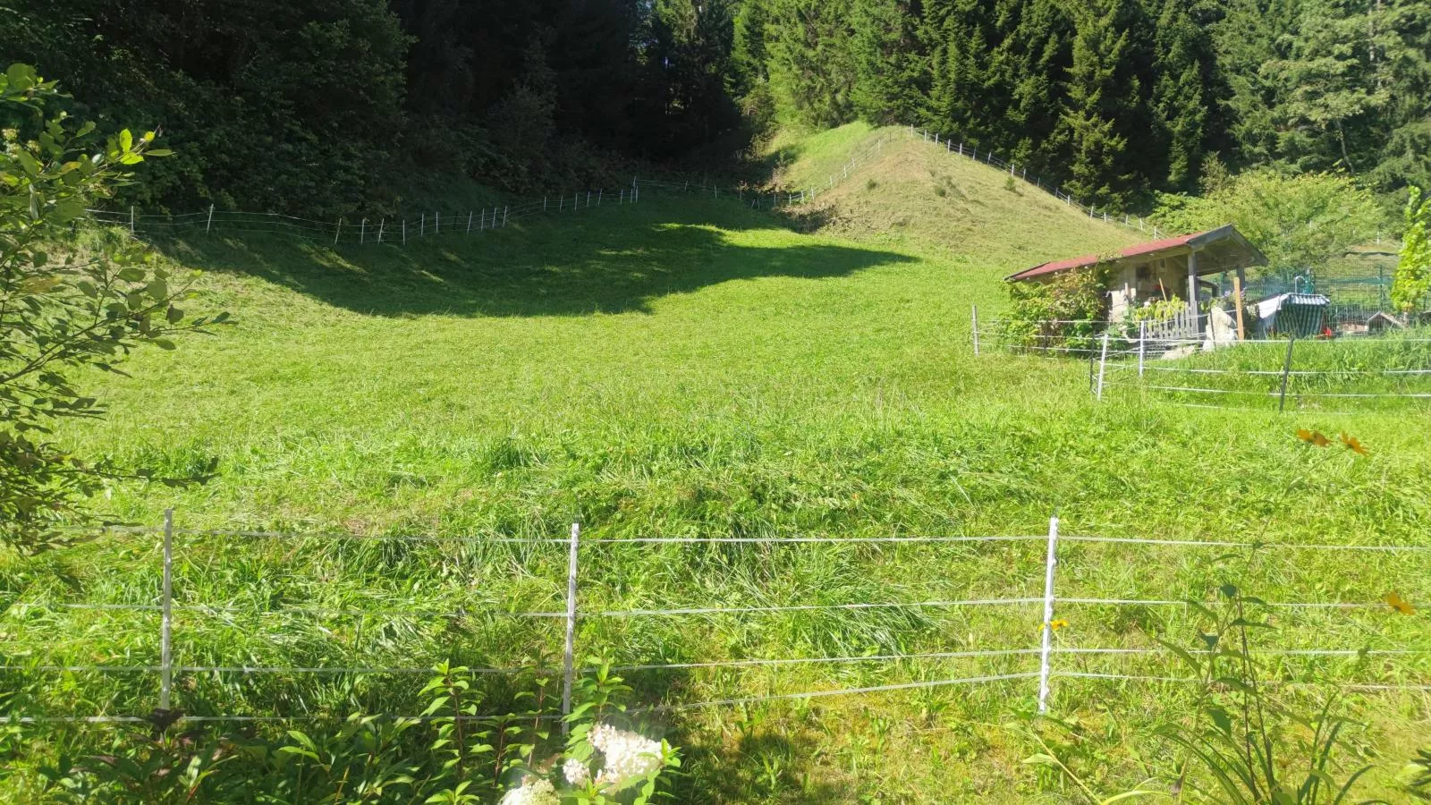 Blick auf den Rettenstein Top 1 und 2-Uitzicht zomer