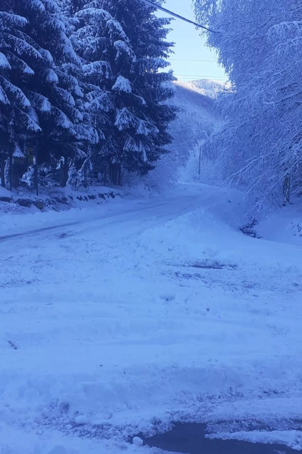 Vila Roberta Breaza Brasov - Buiten