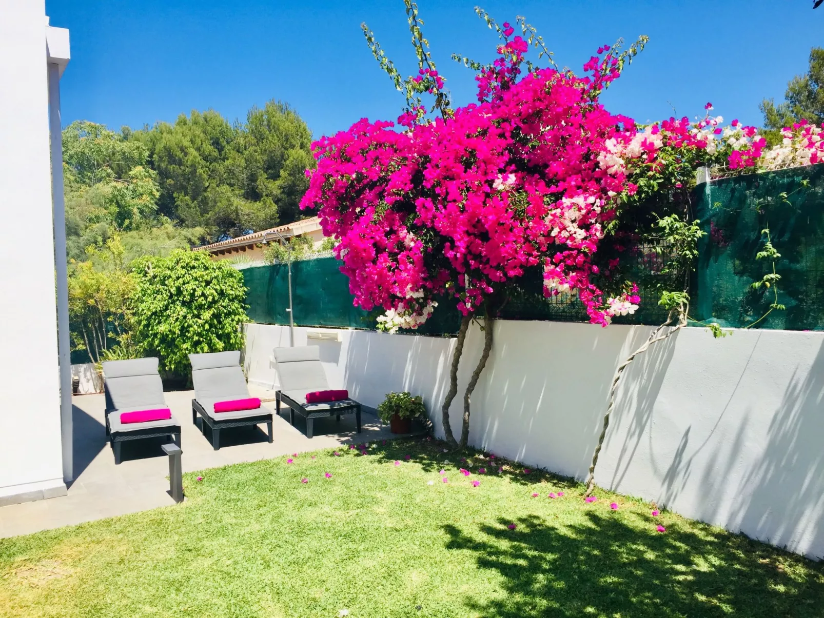 Strandvilla Beach and Ocean in Son Serra De Mari - Buiten