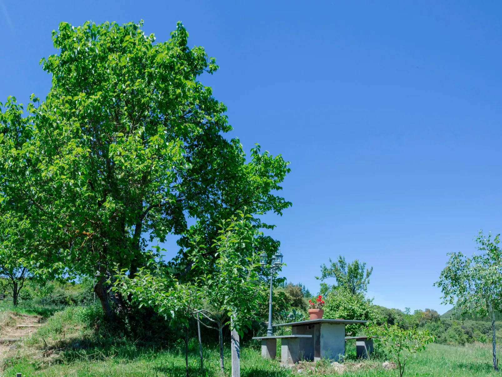 Ländliches Haus Médulas 2. für 4 PAX belegbar - Buiten