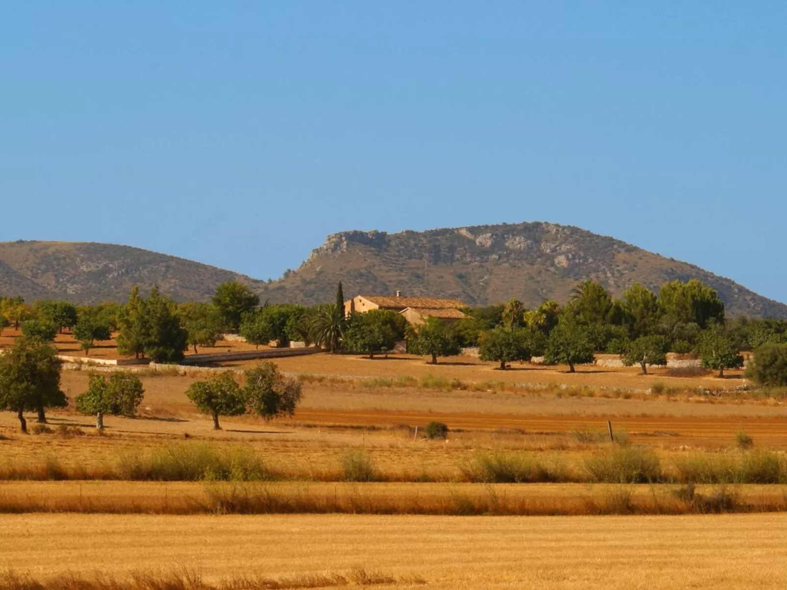 Finca "Son Pereto" mit privatem Pool - Image-tags.info