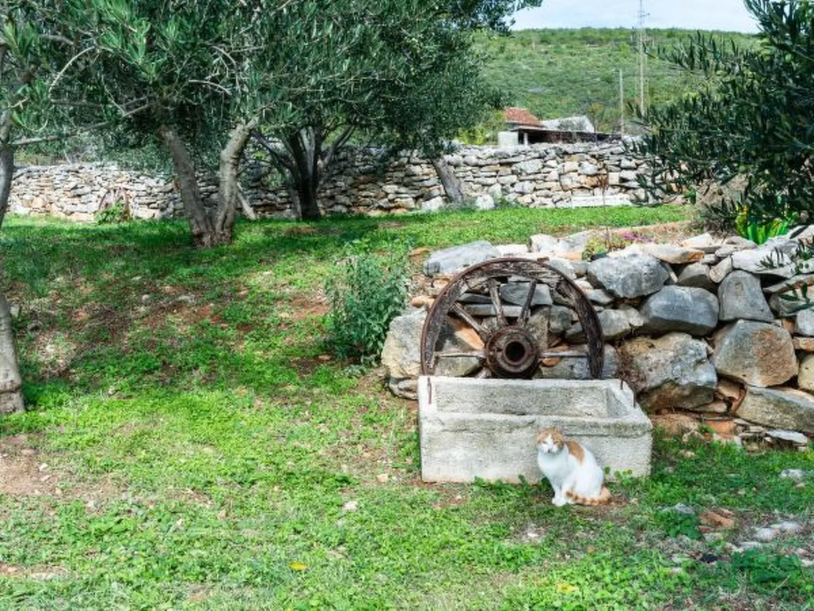 Country House Irena with pool - Image-tags.info