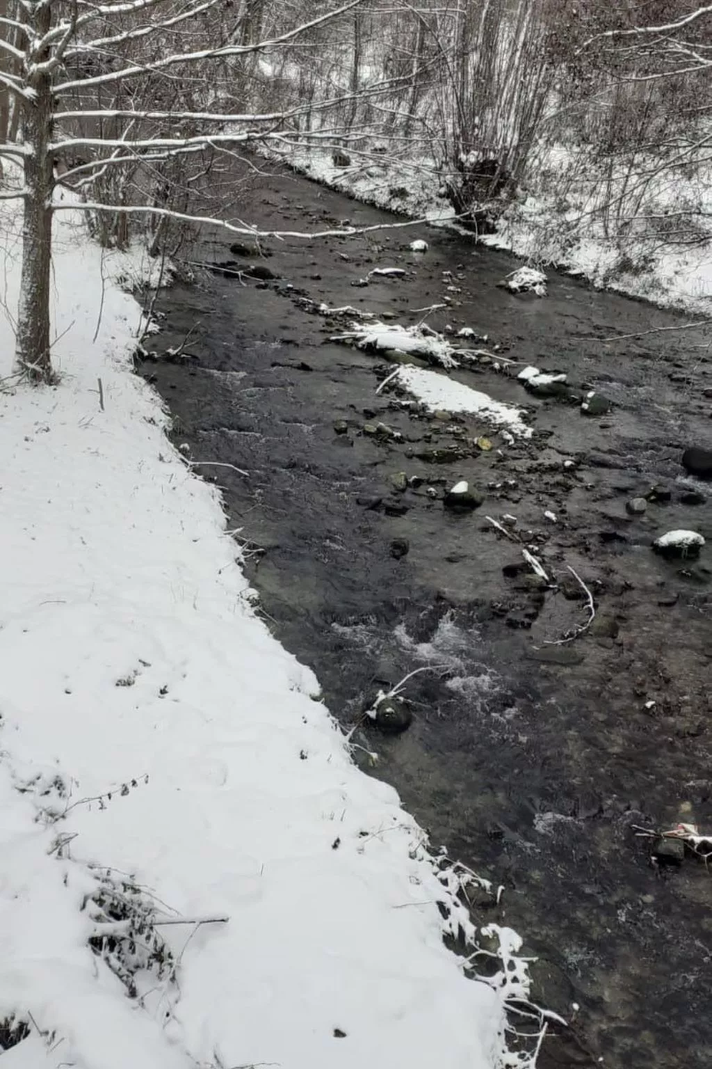 Vila Roberta Breaza Brasov - Buiten