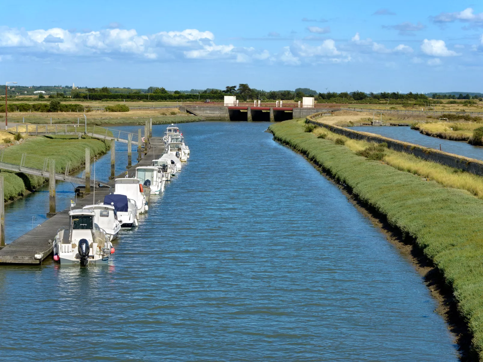 Les Rainettes - Omgeving