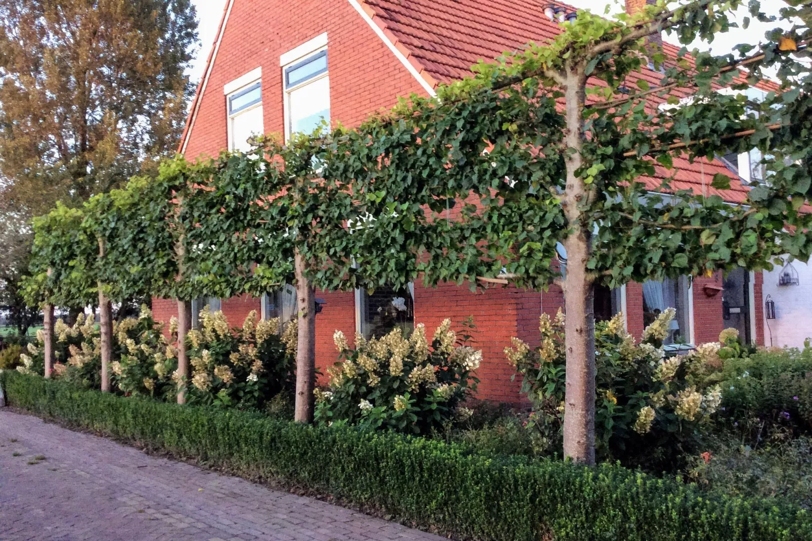 De Kerkereed-Gebieden zomer 1km