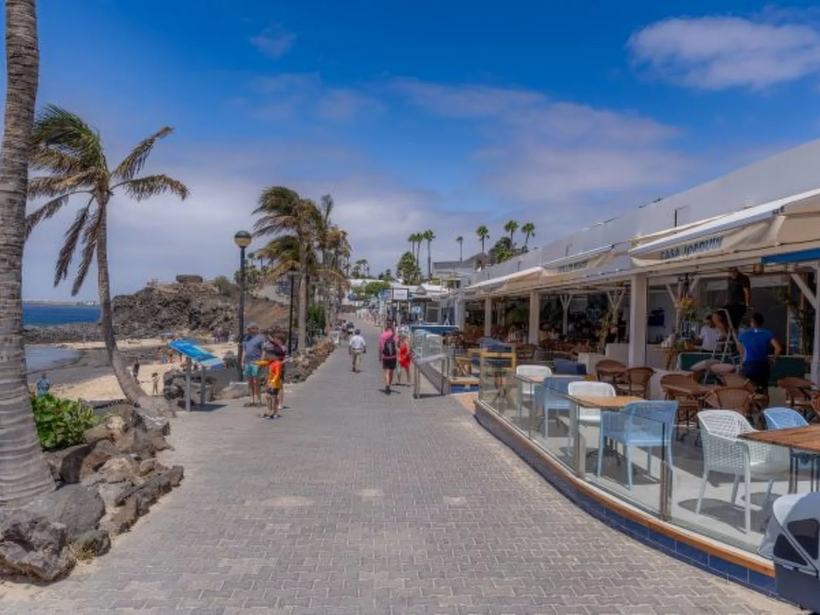 PLAYA FLAMINGO C - Image-tags.info