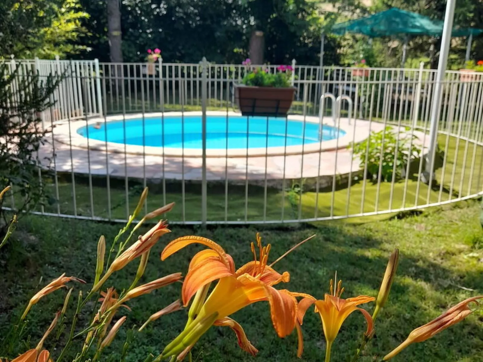 Podere Vallino - Buiten