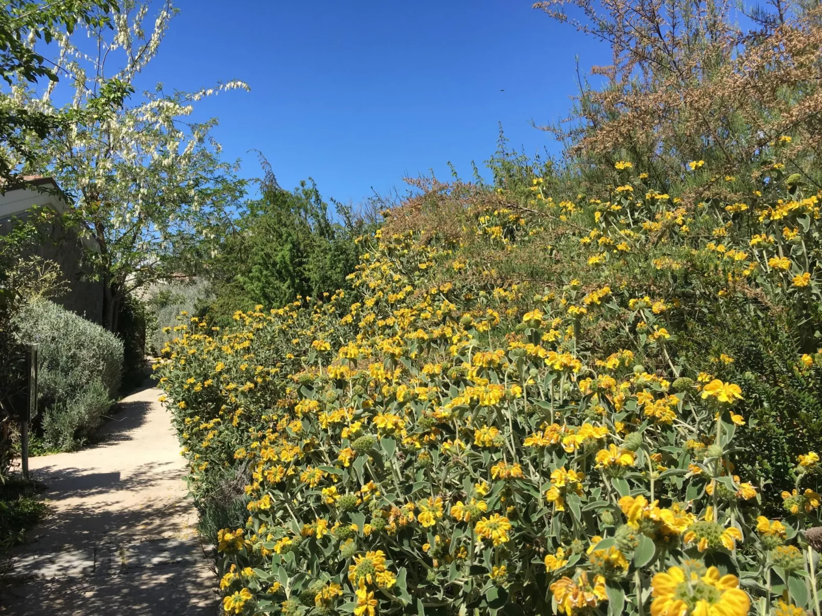 Safari-Lodge-Zelt in Castiglione della Pescaia - Image-tags.info
