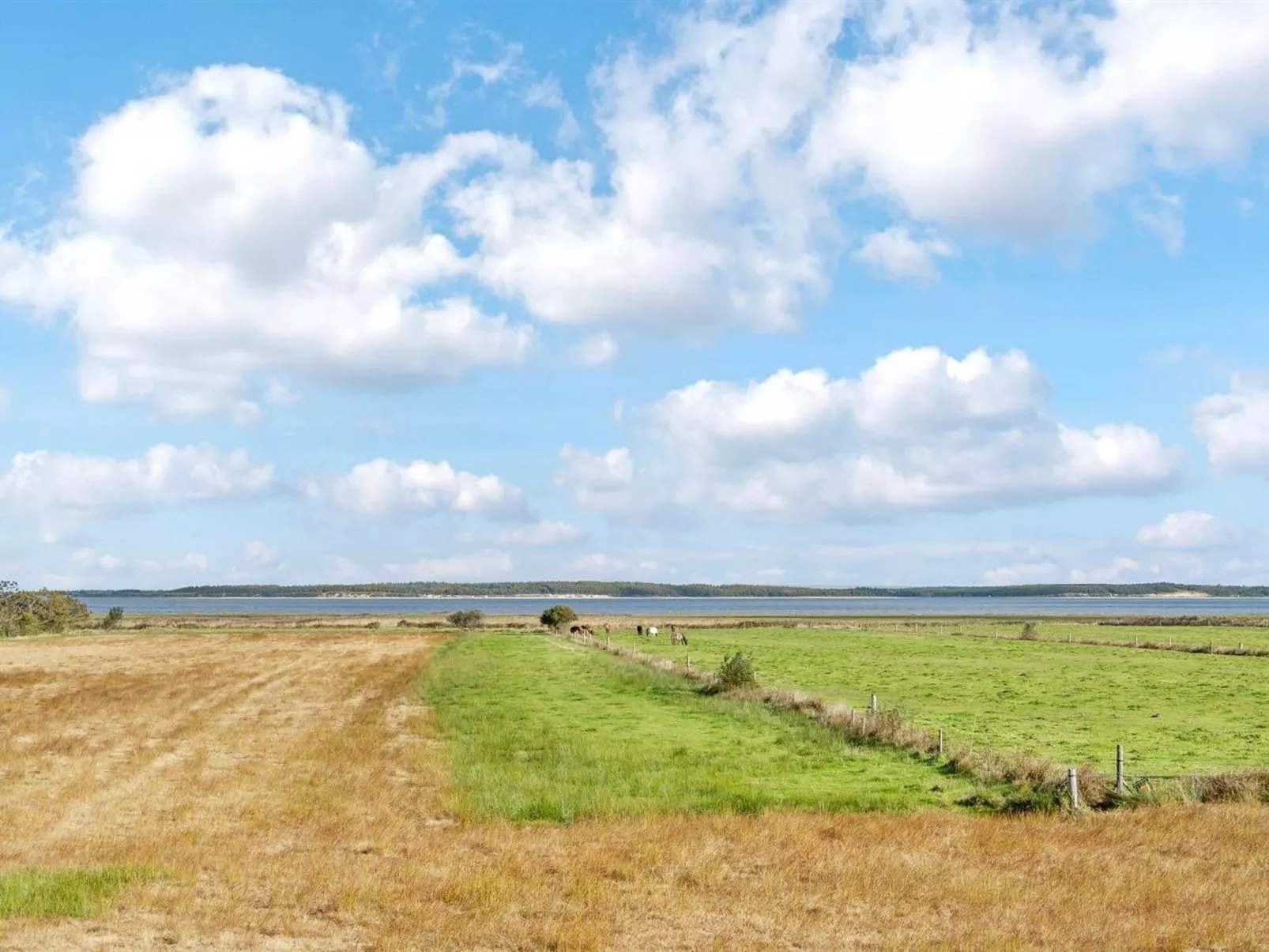 "Aswaldi" - 3.5km from the sea - Buiten