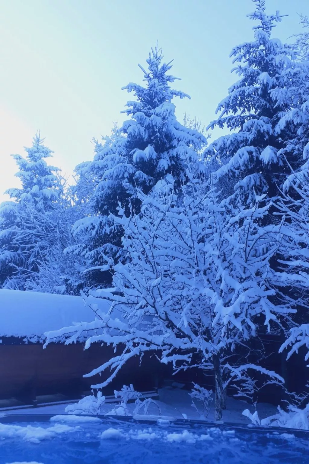 Vila Roberta Breaza Brasov - Buiten