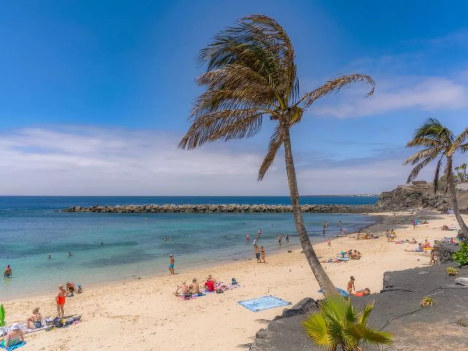 PLAYA FLAMINGO C - Image-tags.info