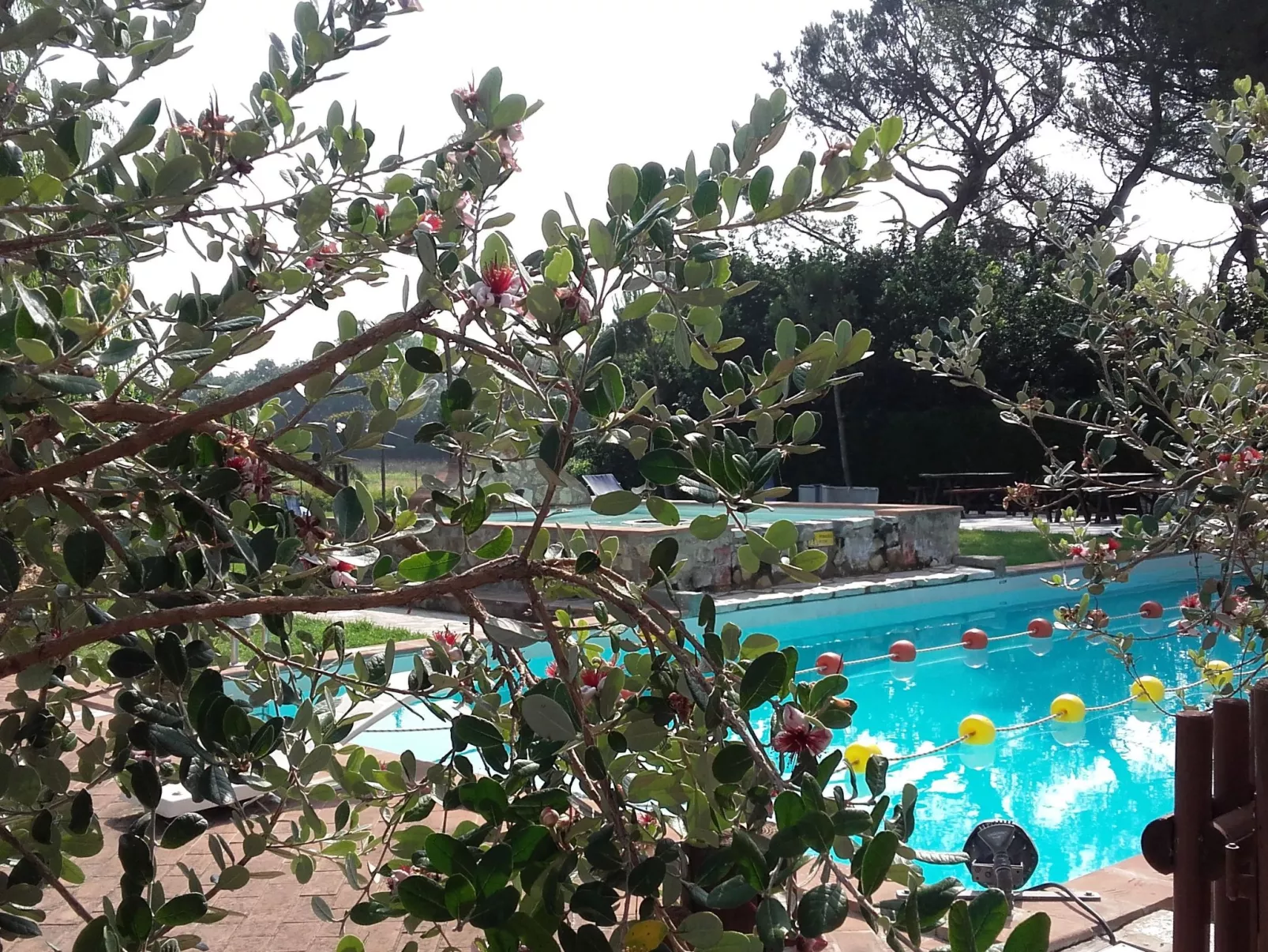 Junior Suite - Buiten