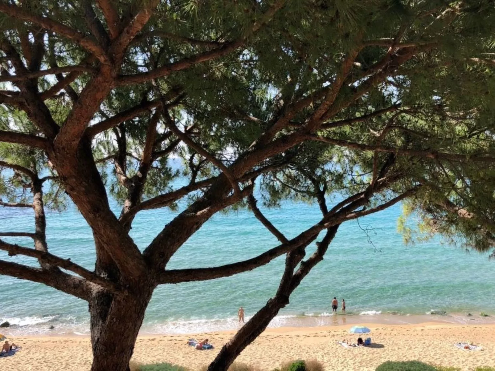 Wohnung an der Strandpromenade - Buiten